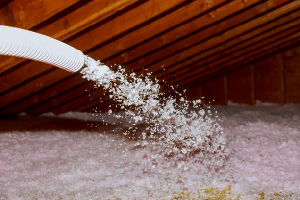 Insulation Replacement Services in Willow Springs, IL