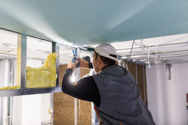 Trusted Willow Springs, IL Insulation Contractor Experts