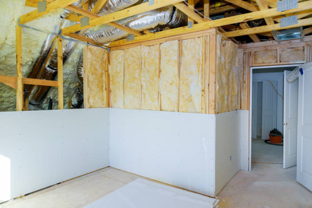 Best Wall Insulation Contractor  in Wlow Springs, IL