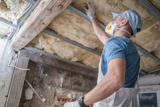Soundproof Insulation Installation in Willow Springs, IL