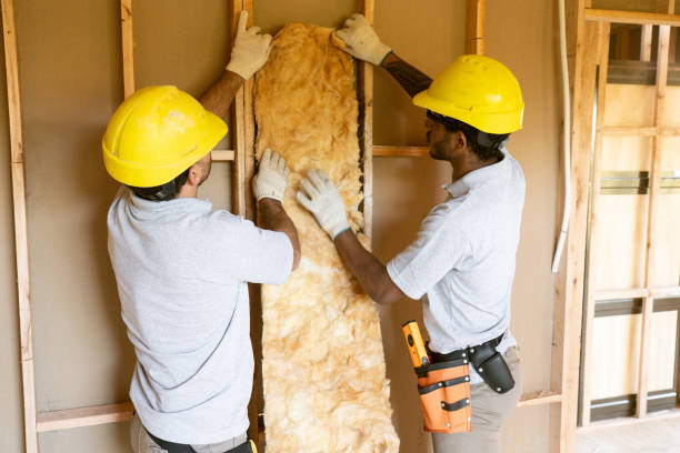 Best Fiberglass Insulation  in Wlow Springs, IL