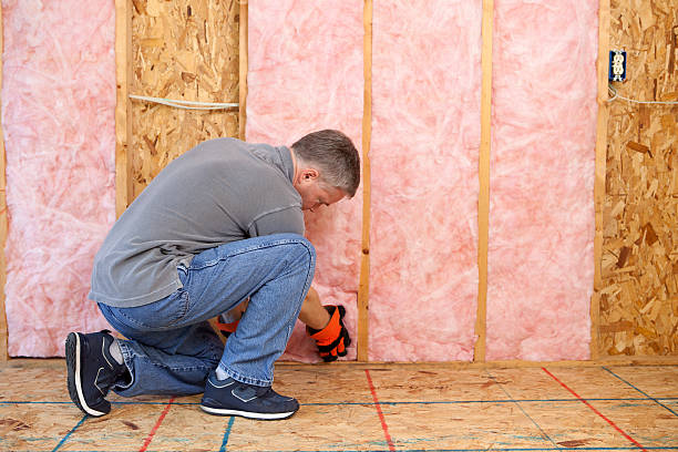 Best Attic Insulation Installation  in Wlow Springs, IL
