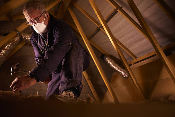Best Best Insulation Companies  in Wlow Springs, IL