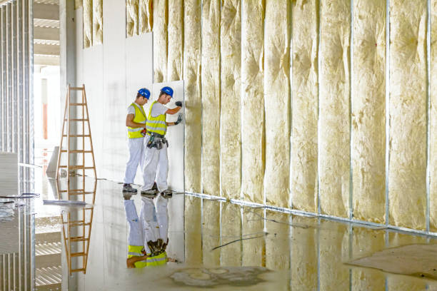 Best Local Insulation Services  in Wlow Springs, IL